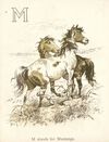 Thumbnail 0008 of The ABC of horses