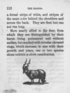 Thumbnail 0112 of An alphabet of quadrupeds