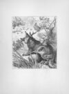 Thumbnail 0107 of Chatterbox stories of natural history