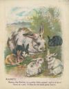 Thumbnail 0003 of Domestic animals