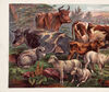 Thumbnail 0011 of Domestic animals