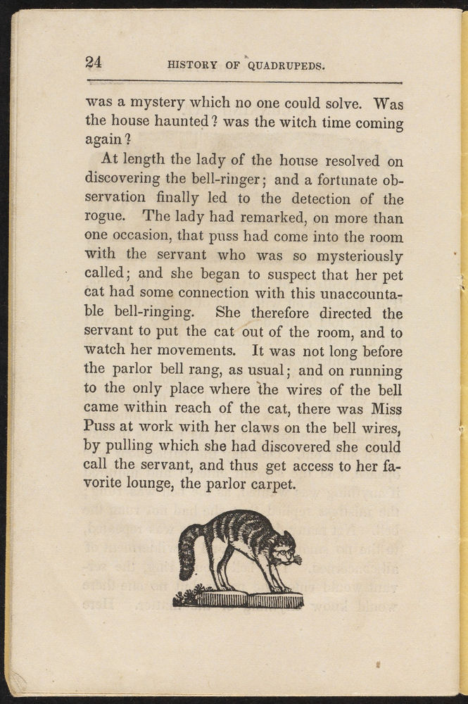 Scan 0026 of History of quadrupeds