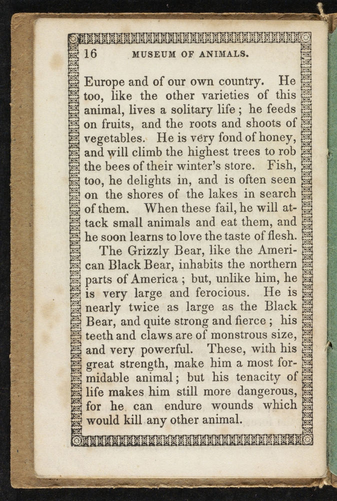 Scan 0020 of Museum of foreign animals, or, History of beasts