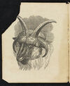 Thumbnail 0002 of Natural history of animals