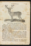 Thumbnail 0023 of Natural history of quadrupeds