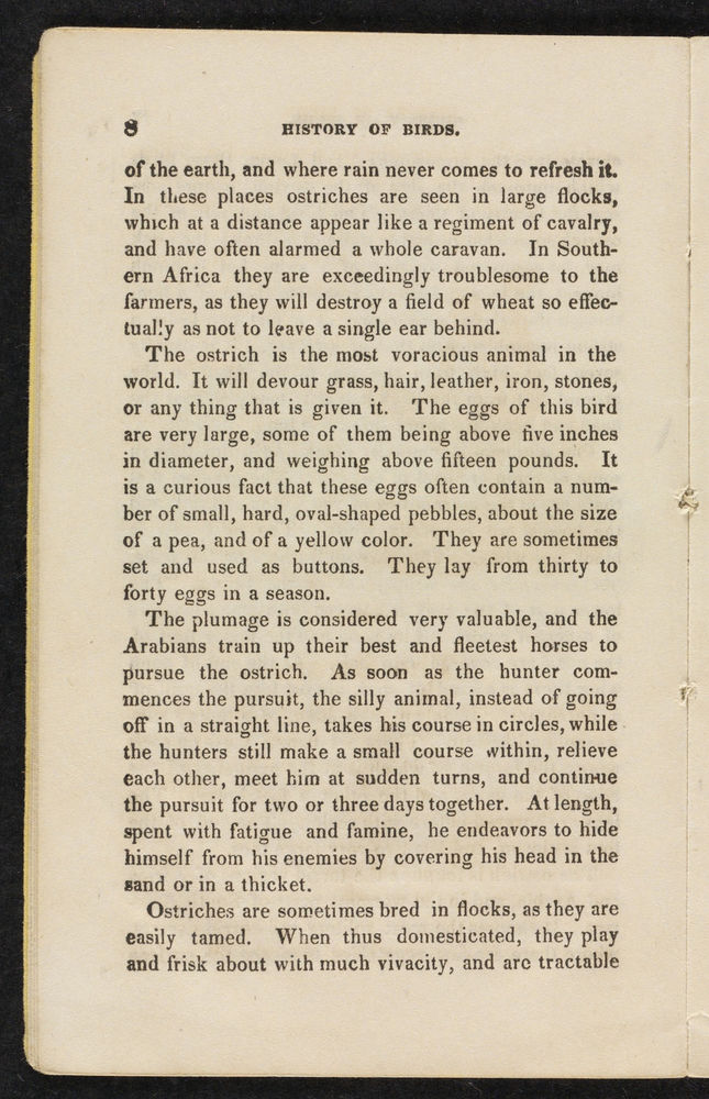 Scan 0010 of The natural history of birds