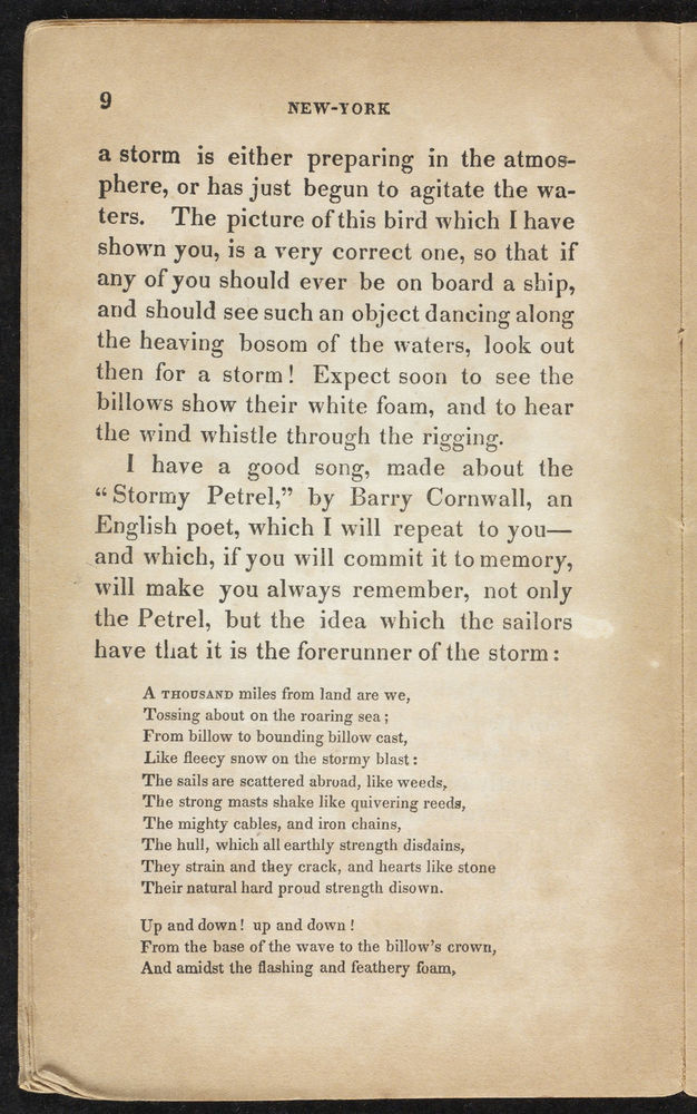 Scan 0008 of New York evening tales, or, Uncle John