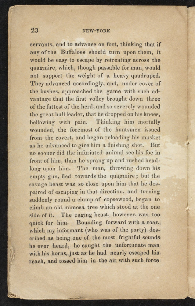 Scan 0022 of New York evening tales, or, Uncle John