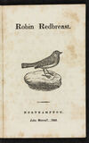 Thumbnail 0003 of Robin Redbreast