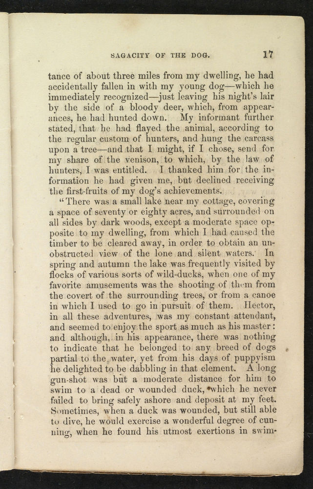 Scan 0019 of Sagacity and fidelity of the dog