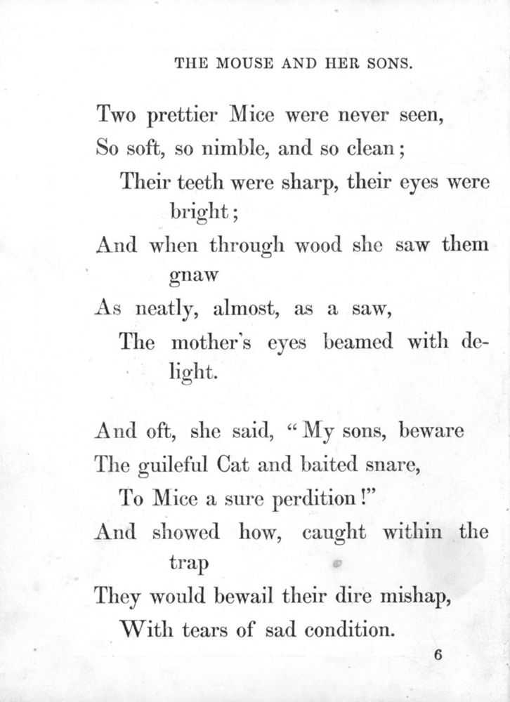 Scan 0013 of Surprising stories about the mouse and her sons, and the funny pigs