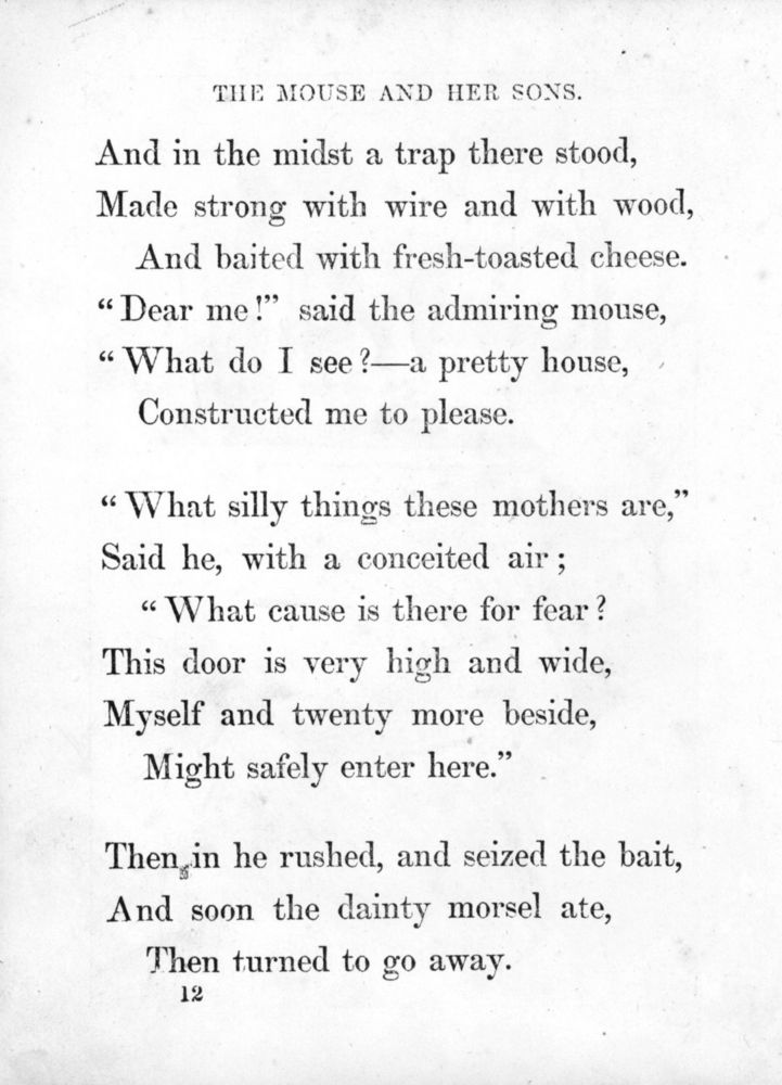 Scan 0019 of Surprising stories about the mouse and her sons, and the funny pigs