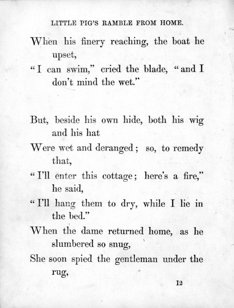 Scan 0045 of Surprising stories about the mouse and her sons, and the funny pigs