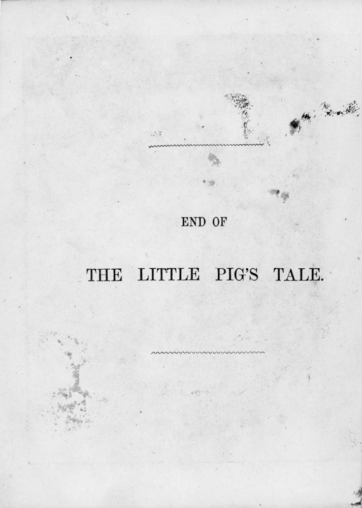 Scan 0079 of Surprising stories about the mouse and her sons, and the funny pigs