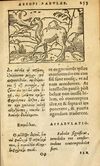 Thumbnail 0255 of Aesopi Phrygis Fabulae