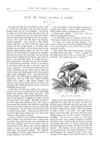 Thumbnail 0043 of St. Nicholas. August 1874