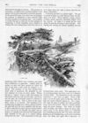 Thumbnail 0055 of St. Nicholas. February 1887