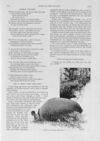 Thumbnail 0077 of St. Nicholas. February 1891