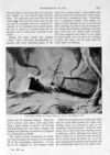 Thumbnail 0019 of St. Nicholas. July 1893