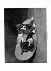 Thumbnail 0004 of St. Nicholas. September 1893