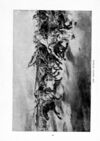 Thumbnail 0042 of St. Nicholas. October 1893