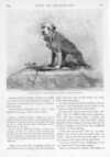 Thumbnail 0078 of St. Nicholas. December 1895