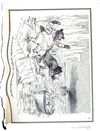 Thumbnail 0165 of The Roosevelt bears