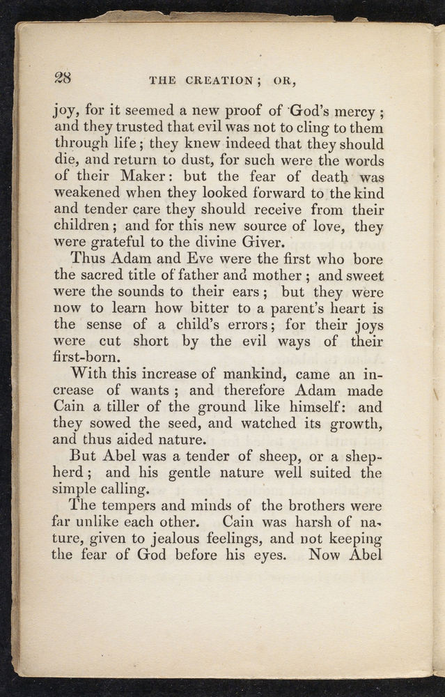 Scan 0030 of The village model, or, Truths of today / The Creation, or, God