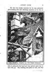 Thumbnail 0029 of The crimson fairy book