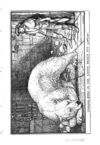 Thumbnail 0053 of The crimson fairy book