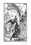 Thumbnail 0165 of The crimson fairy book