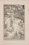 Thumbnail 0115 of The orange fairy book