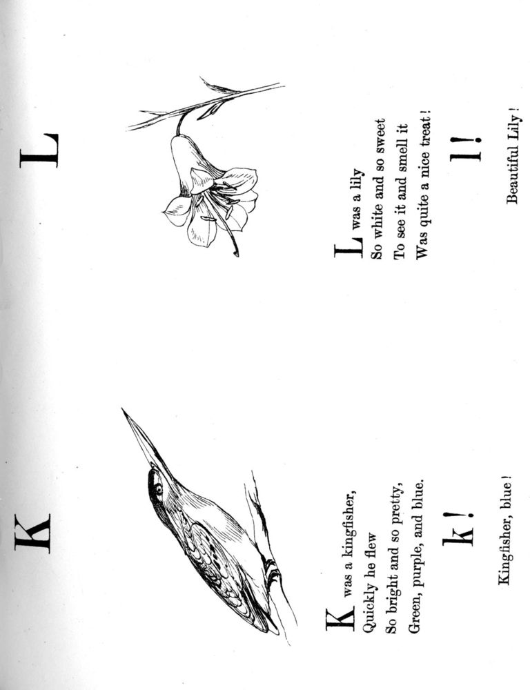 Scan 0128 of Nonsense songs, stories, botany, and alphabets