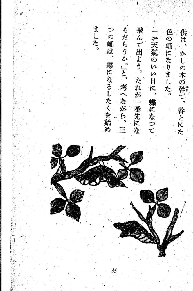 Scan 0041 of 昆虫たちの国