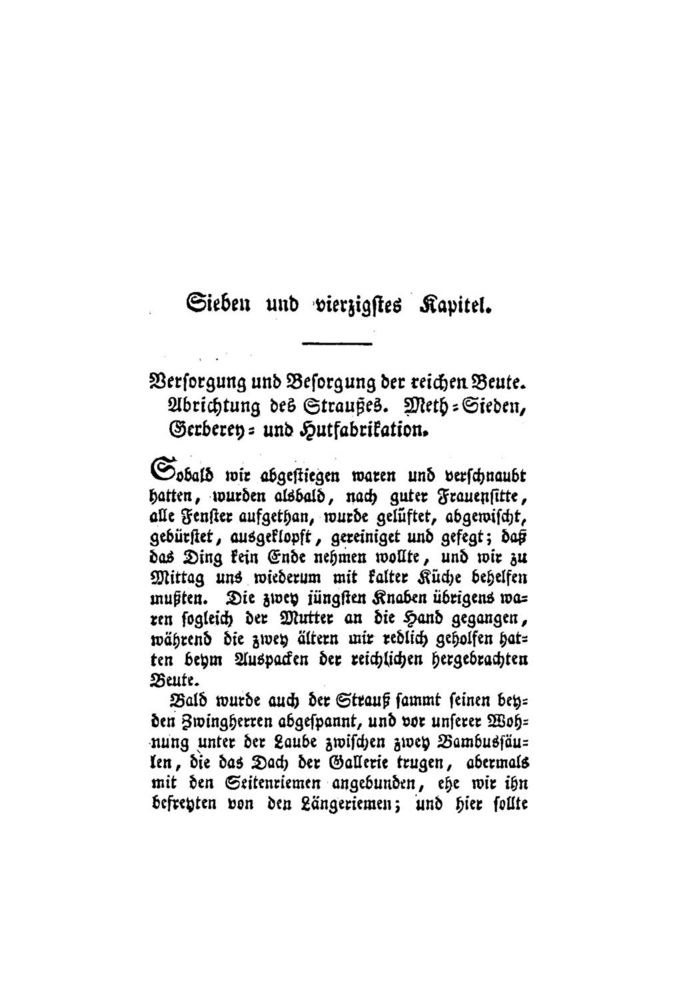 Scan 0074 of Der Schweizerische Robinson oder der schiffbrüchige Schweizer-Prediger und seine Familie (Band 4)