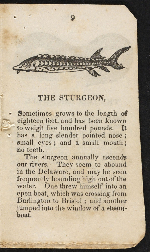 Scan 0009 of The history of curious and wonderful fish