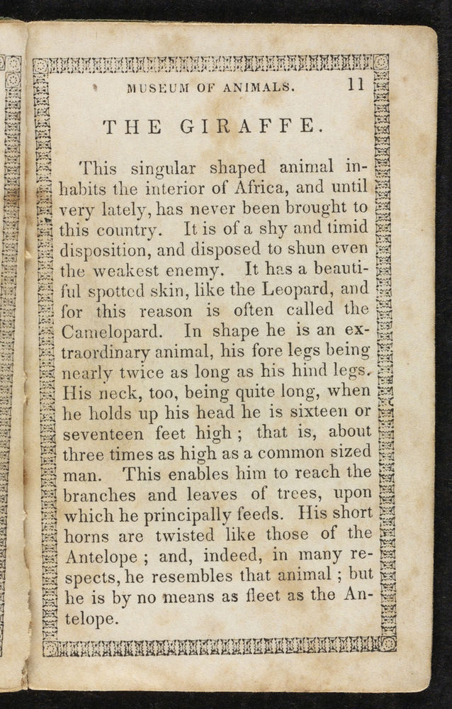 Scan 0013 of Museum of foreign animals, or, History of beasts