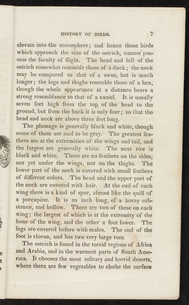 Scan 0009 of The natural history of birds