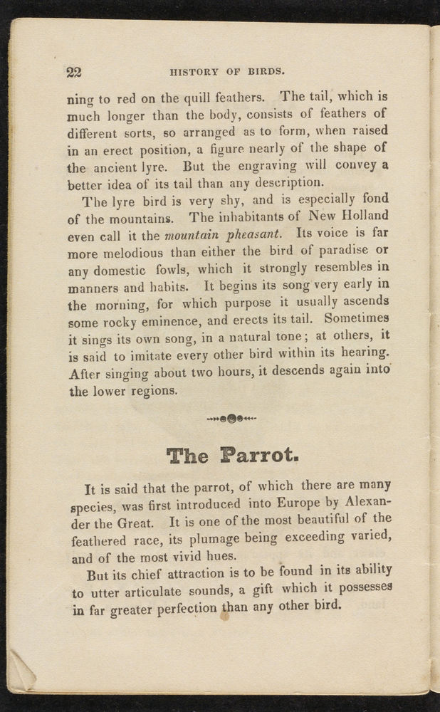 Scan 0024 of The natural history of birds