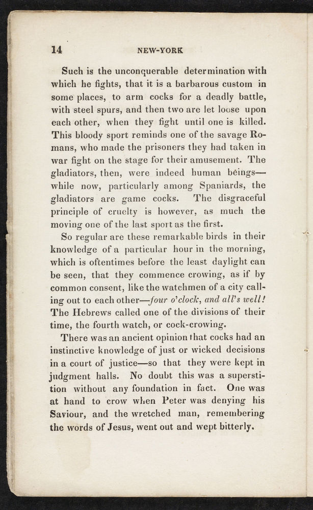 Scan 0014 of New York evening tales, or, Uncle John