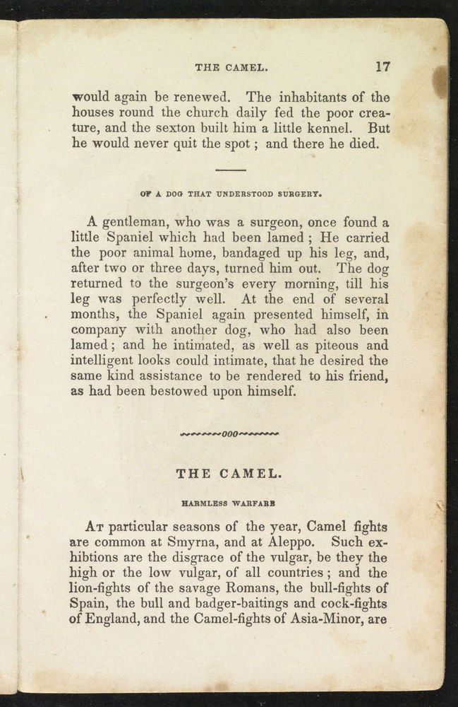 Scan 0019 of Select and amusing anecdotes of animals