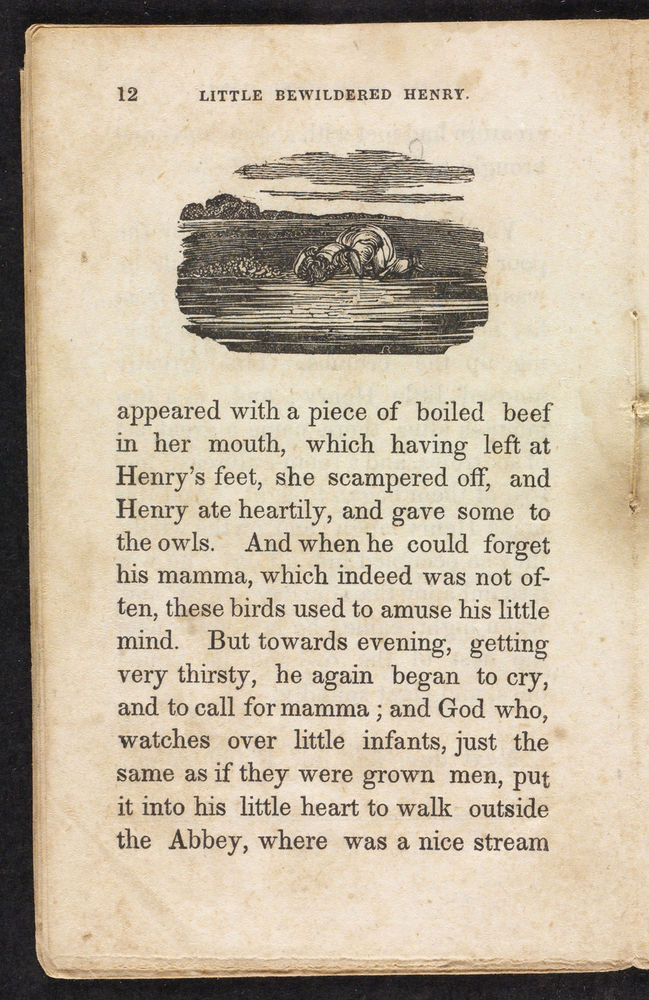 Scan 0012 of The singular and extraordinary adventures of poor little bewildered Henry, who was shut up in an old abbey for three weeks