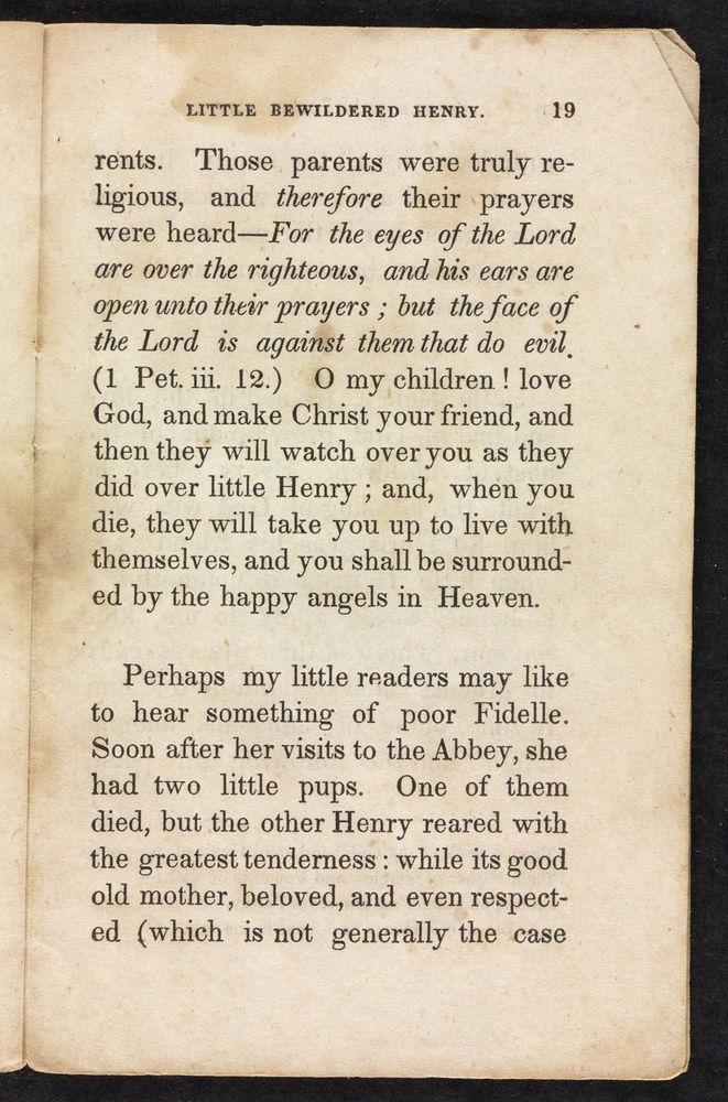 Scan 0019 of The singular and extraordinary adventures of poor little bewildered Henry, who was shut up in an old abbey for three weeks