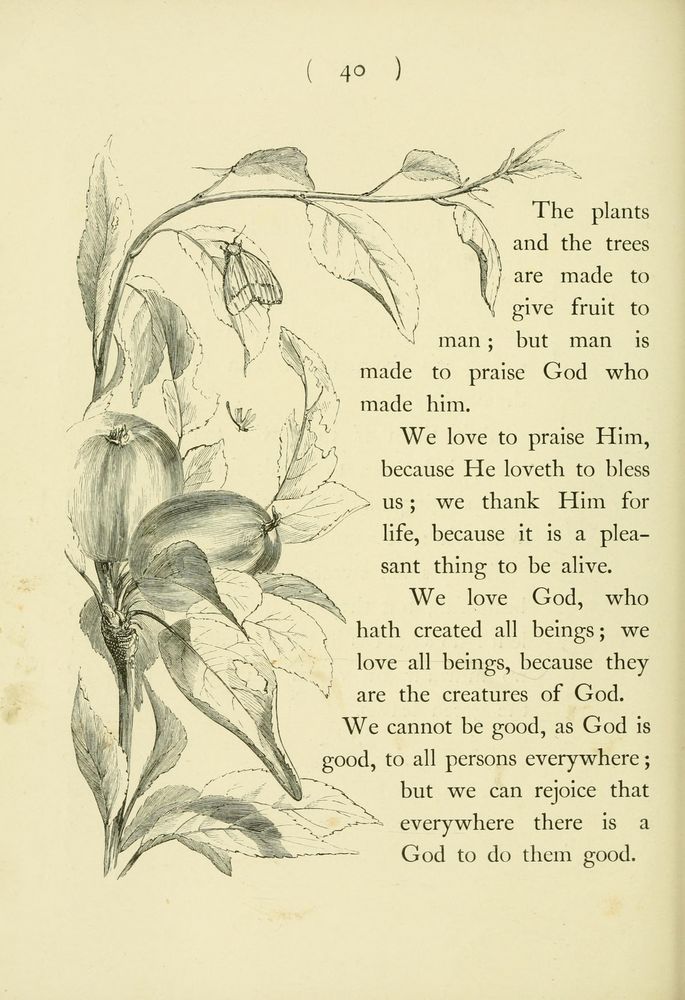 Scan 0060 of Hymns in prose for children