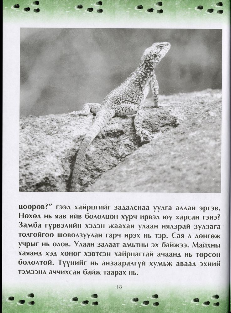 Scan 0022 of Чулуун домог