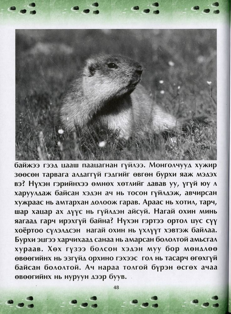 Scan 0052 of Чулуун домог