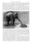 Thumbnail 0072 of St. Nicholas. November 1889