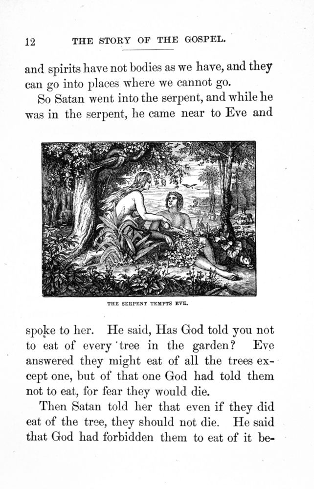 Scan 0015 of The story of the gospel