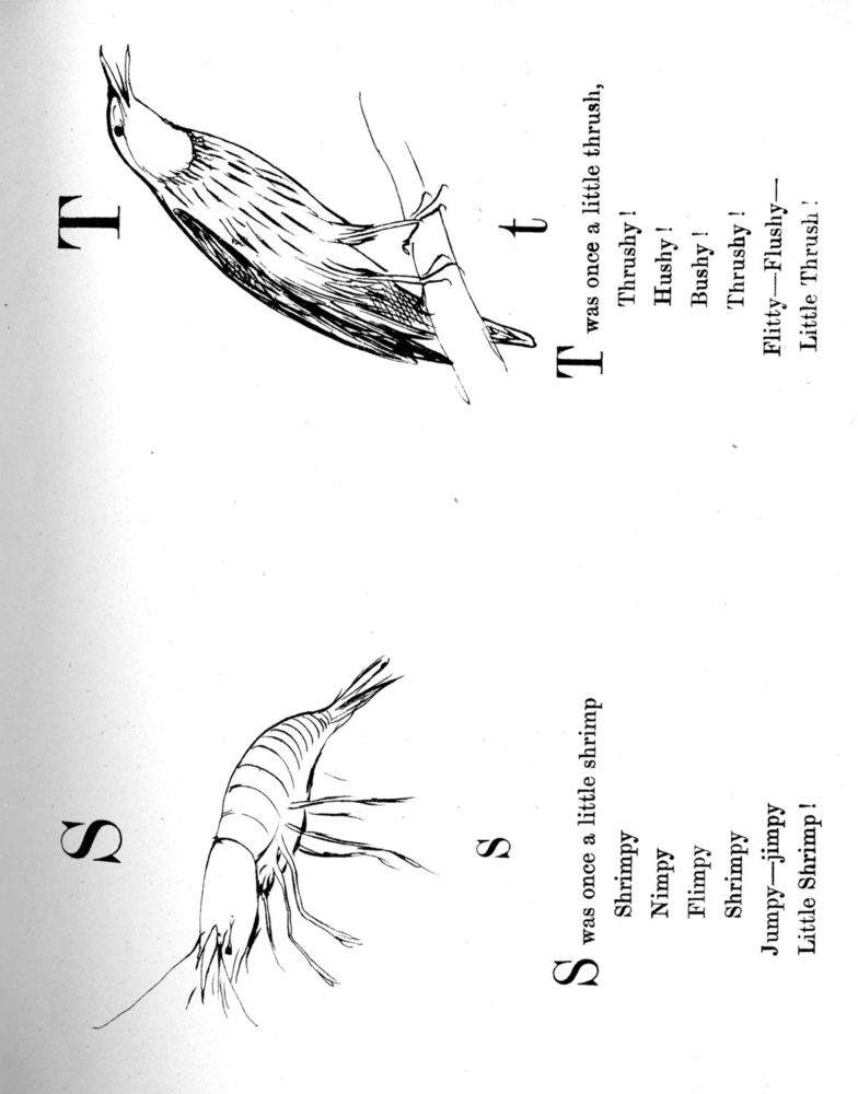 Scan 0119 of Nonsense songs, stories, botany, and alphabets