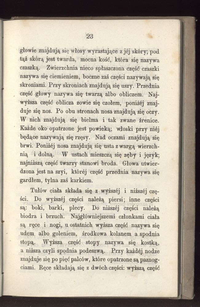 Scan 0095 of Towarzysz pilnych dzieci, czyli Początki czytania i innych wiadomości sposobem łatwym i do pojęcia młodocianego wieku zastosowanym 